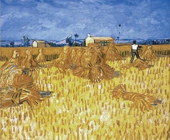 Vincent Van Gogh: "Campo de  trigo en Provenza"